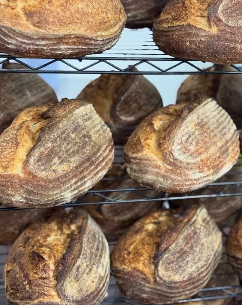 Before: Artisan sourdough bread loaves
